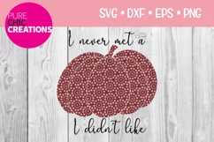 I Never Met A Pumpkin|Fall Quote SVG|SVG DXF PNG EPS Product Image 1