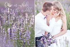 Web Font Summery Handwritten Calligraphy Font Product Image 8