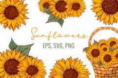 Sunflower SVG Clipart, Sunflower EPS, PNG, Sunflower bundle Product Image 1