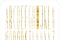 Elegant Letters Clipart - Black, Gold, Rose Gold  Product Image 2