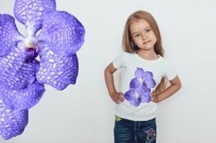 Blue orchid flowers - Volume 2 Product Image 4