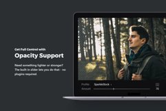 20 Forestry Lightroom Presets &amp; LUTs Product Image 2