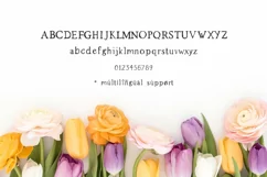 Spring Market - Rustic Serif Font - Free Font of The Week Product Image 9
