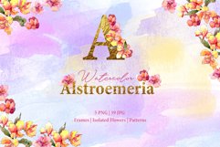 Alstroemeria Watercolor png Product Image 1