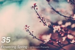 35 Flowering Spring Lightroom Presets Product Image 1
