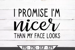 I Promise I'm Nicer Than My Face Looks SVG Product Image 2