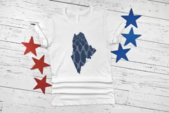 Political divisions of the US Denim snake glitter skin print Product Image 3
