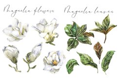 White Magnolia flowers, leaves and Bouquets Watercolor Set Product Image 2