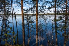 Forest lake under blue cloudy sky Product Image 1