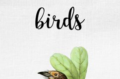 Bird Clipart Vintage Product Image 3