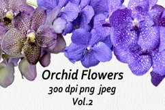 Blue orchid flowers - Volume 2 Product Image 1