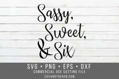 Sweet Sassy Six Svg - Sixth Birthday Svg Product Image 1