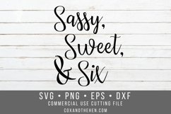 Sweet Sassy Six Svg - Sixth Birthday Svg Product Image 1