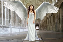 30 ANGEL WINGS TRANSPARENT PNG FILES, PHOTOSHOP OVERLAYS Product Image 3