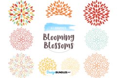 Blooming Blossoms designs graphics and illustrations Product Image 1