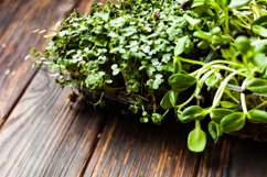 Micro greens variety Product Image 1