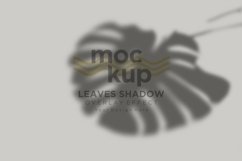 Leaves Shadow Overlay Effect Mockup Product Image 1