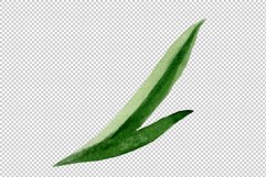 Orange spotted lily watercolor png Product Image 4