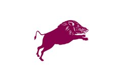 Wild Pig Boar Product Image 1