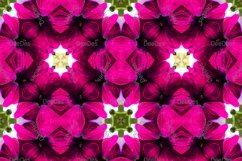12 abstract Seamless colorful FLOWER patterns pack. Product Image 5