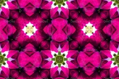 12 abstract Seamless colorful FLOWER patterns pack. Product Image 5