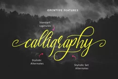 Brightside-Typeface-Modern-Calligraphy-Typeface