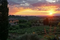 Beautiful sunset in tuscany with a farmhouse surrounded by v Product Image 1