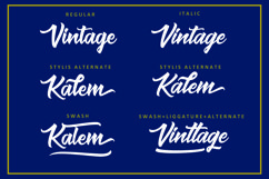 Web Font Muskaters. duo style font bonus Product Image 4