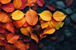 Autumn With Orange and Black Leaves Top View Background Product Image 1
