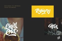 Web Font Adleit Script Product Image 4