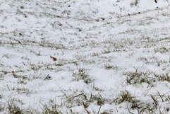 Snow drifts in winter Product Image 1