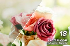 18 Professional Lightroom Presets Product Image 1
