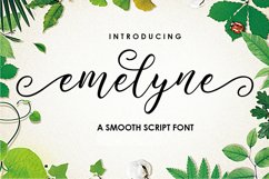 The Authentic Script Font Bundle Product Image 18