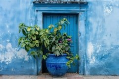 Vibrant blue door with decorative plant pot Product Image 1