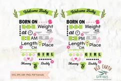 Baby girl announcement chart template SVG,DXF,PNG,EPS,PDF Product Image 4
