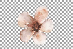 Faded orange and blush flowers and green leaves watercolor Product Image 6