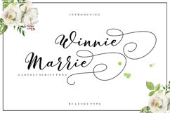 The Authentic Script Font Bundle Product Image 12