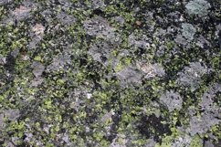 Closeup shot of moss on stones Product Image 1