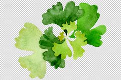Ginkgo biloba plain green watercolor png Product Image 5