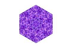 6 Mosaic Pattern Polygons Product Image 5
