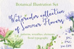 Watercolor collection of summer flowers Product Image 1