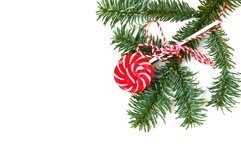 Christmas lollipop and hristmas tree branch on white Product Image 1