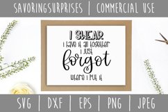 I Swear I Have It All Together SVG, DXF, EPS, PNG, JPEG Product Image 3