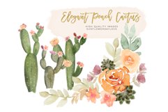 Elegant Peach Succulent Clipart Set, Cacti succulent Product Image 3