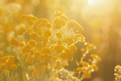 Yellow Flowers Background Wallpaper Product Image 1