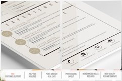 Resume Template Alcyone Product Image 2