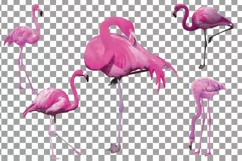 Watercolor Flamingos Clipart. Tropical clipart, 5 flamingo Product Image 8