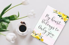 The Calligraphy Font Bundle Vol ll Product Image 10