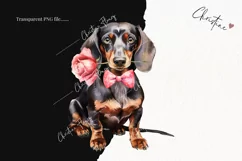 Valentine Dachshund Dog PNG | Valentine's Day Clipart Product Image 2