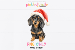 A single Christmas PNG showing a charming sausage dog dressed for the holidays in a floppy red hat with a white pom-pom.